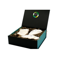 3 Unieke Oesterkaarsen